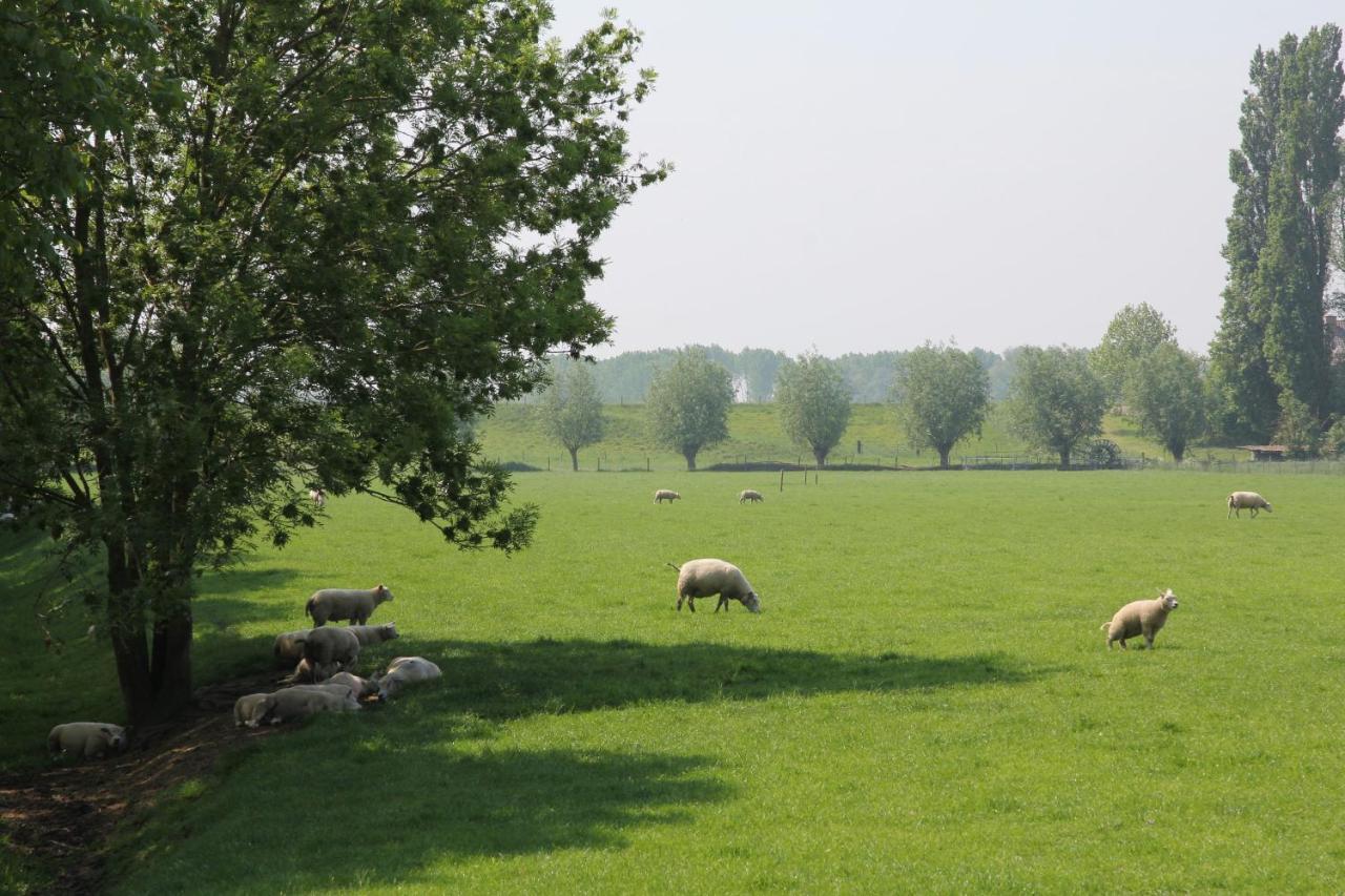 B&B Buitenwaard Oosterhout  Buitenkant foto